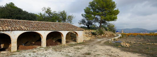 Ruta dels Riuraus en Xaló – excursión y vinos en Jalón
