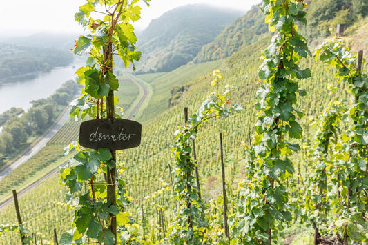 Demeter: vinos con alma, tierra y cosmos
