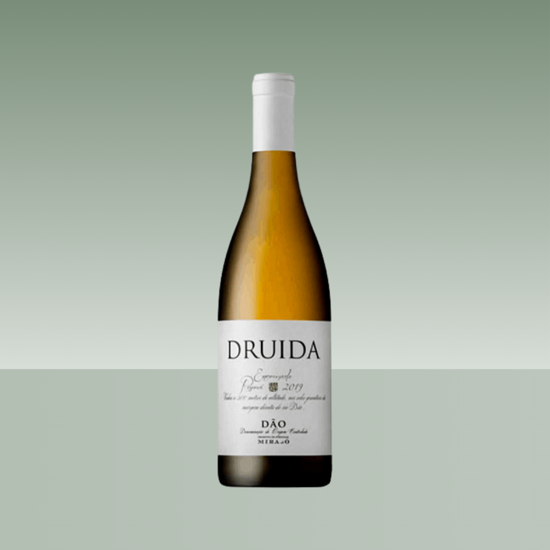 WITTE DRUÏDE 2021