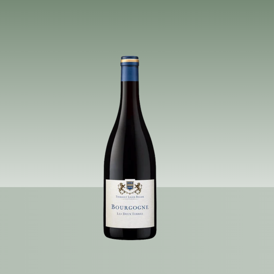 THIBAULT LIGER-BELAIR | LES DEUX TERRES GAMAY 2021 75cl