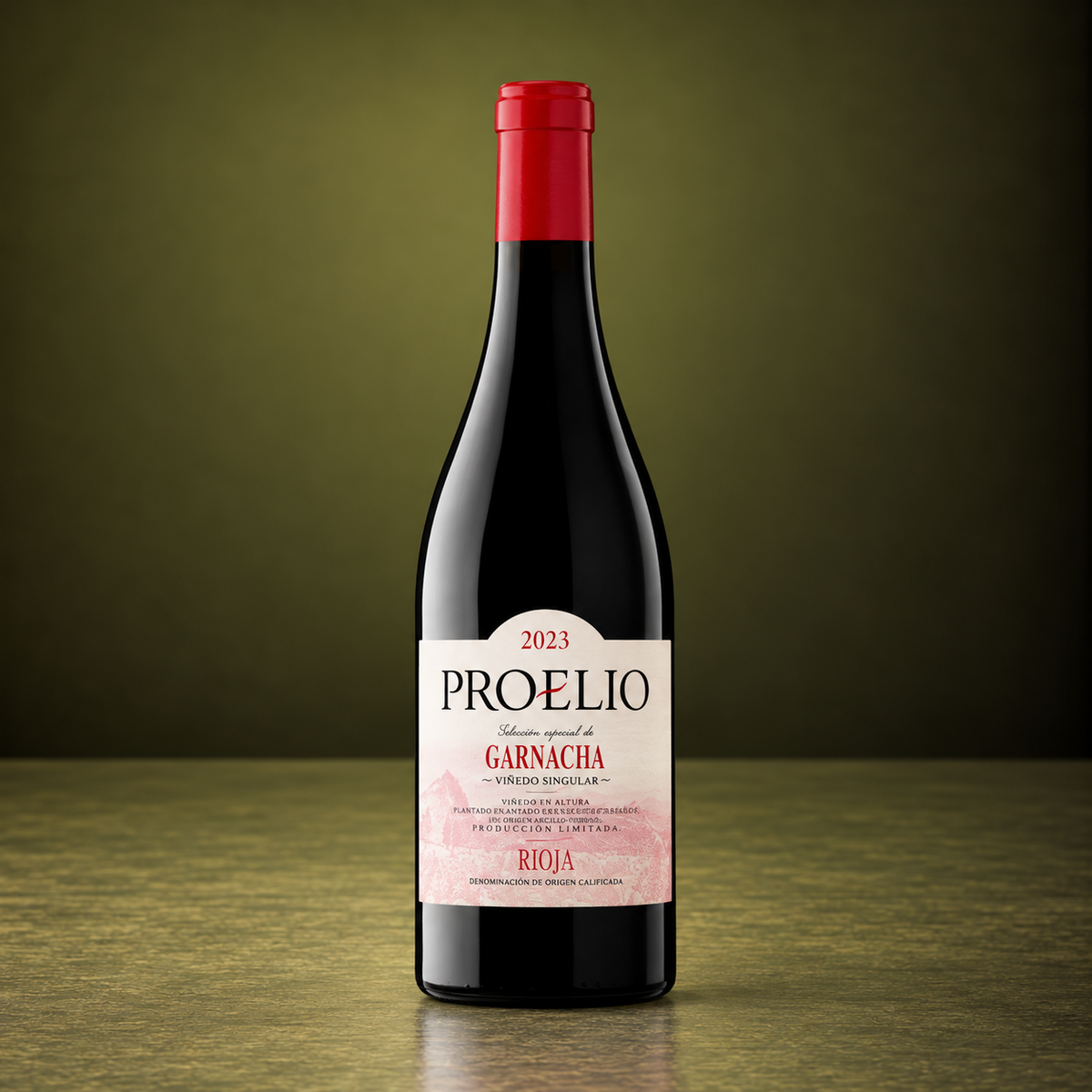 PALACIOS | PROELIO GARNACHA 2023 75cl