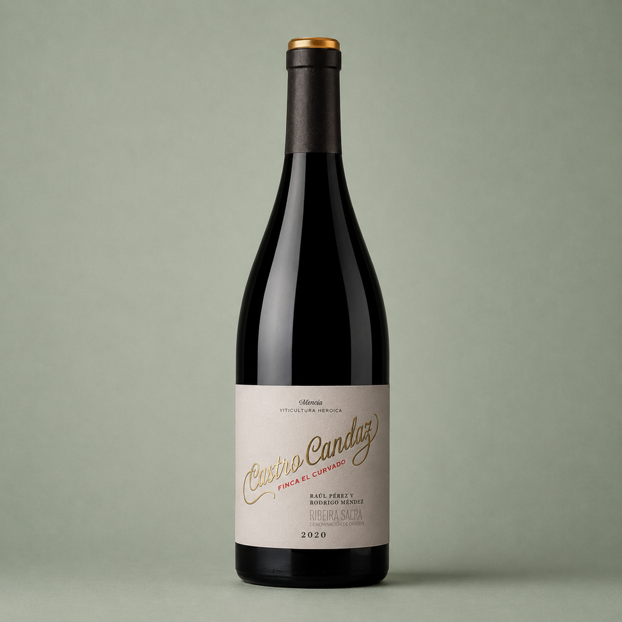 RAÚL PÉREZ | CASTRO CANDAZ FINCA EL CURVADO 2021 75cl