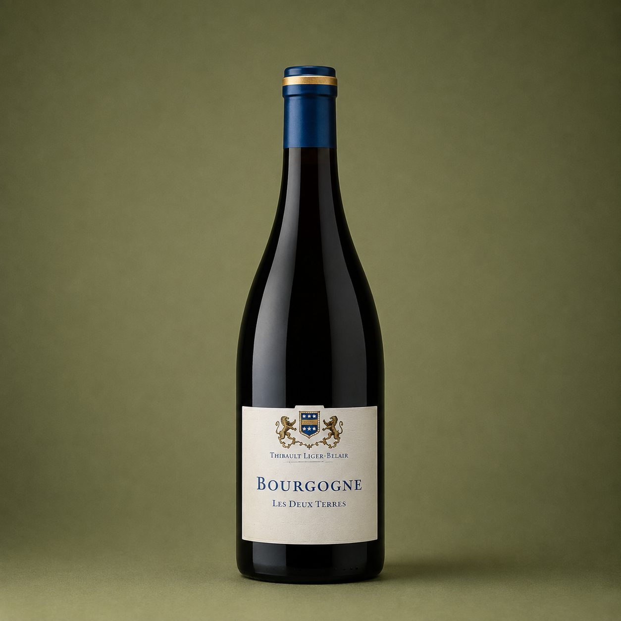 THIBAULT LIGER-BELAIR | LES DEUX TERRES GAMAY 2021 75cl
