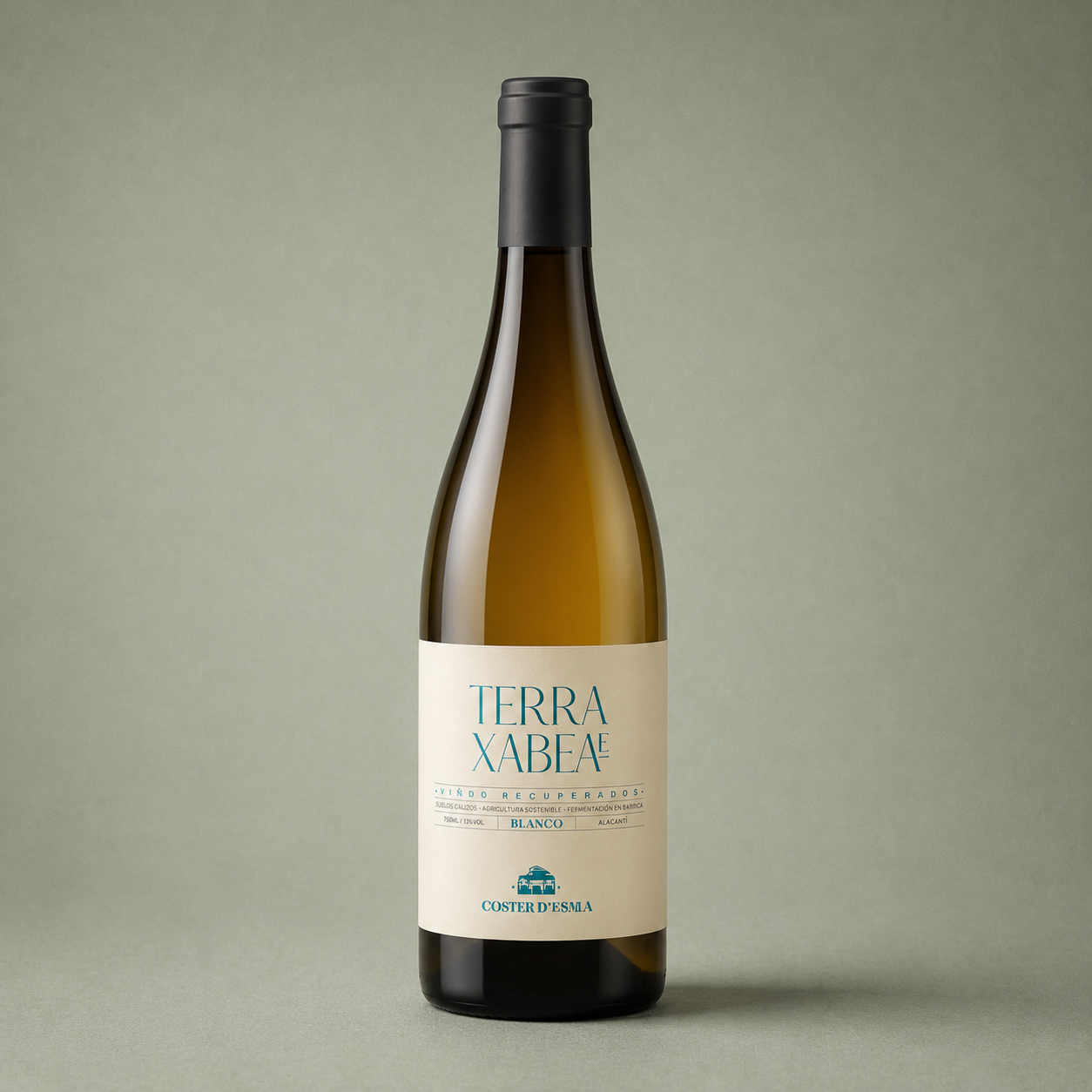 COSTER D´EN SALA | TERRA XABEAe BLANCO 2024 75cl