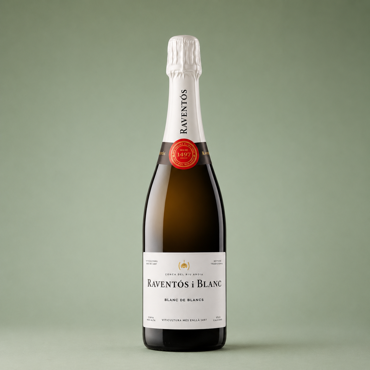 RAVENTOS i BLANC | BLANC DE BLANCS 2022 75cl