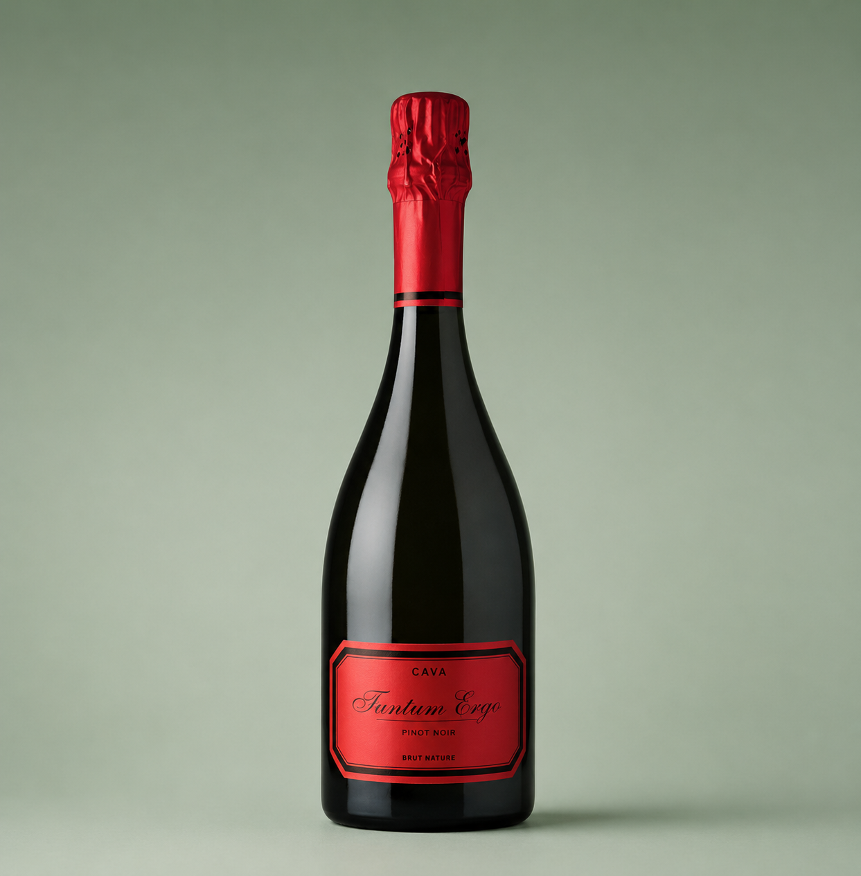 CAVA TANTUM ERGO PINOT NOIR ROSÉ BRUT NATUUR 2021