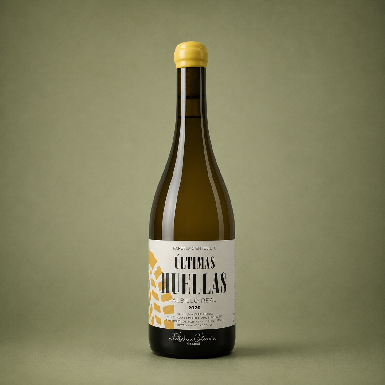 ESTEBAN CELEMÍN | ÚLTIMAS HUELLAS PARCELA CIENTOSIETE 2020 75cl