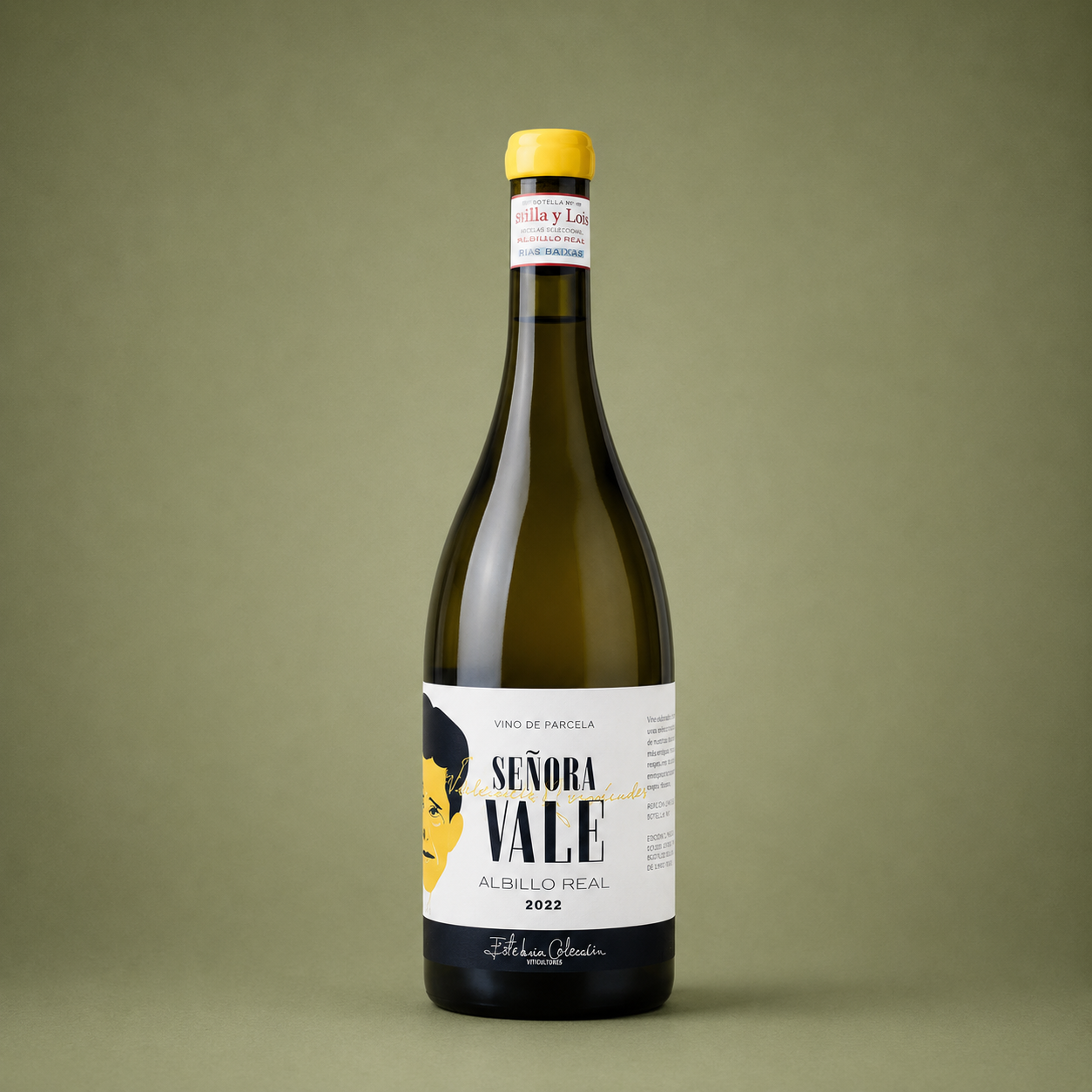 ESTEBAN CELEMÍN | SEÑORA VALE ALBILLO REAL 2022 75cl
