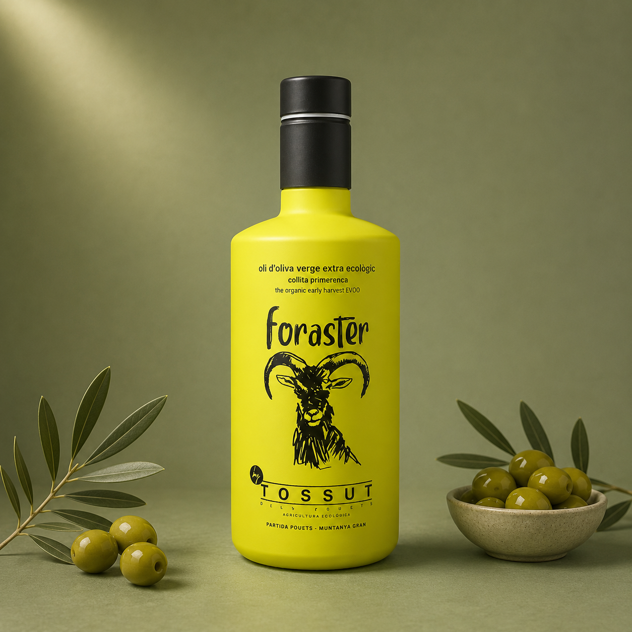 TOSSUT | AOVE FORASTER COLLITA PRIMERENCA 500ml