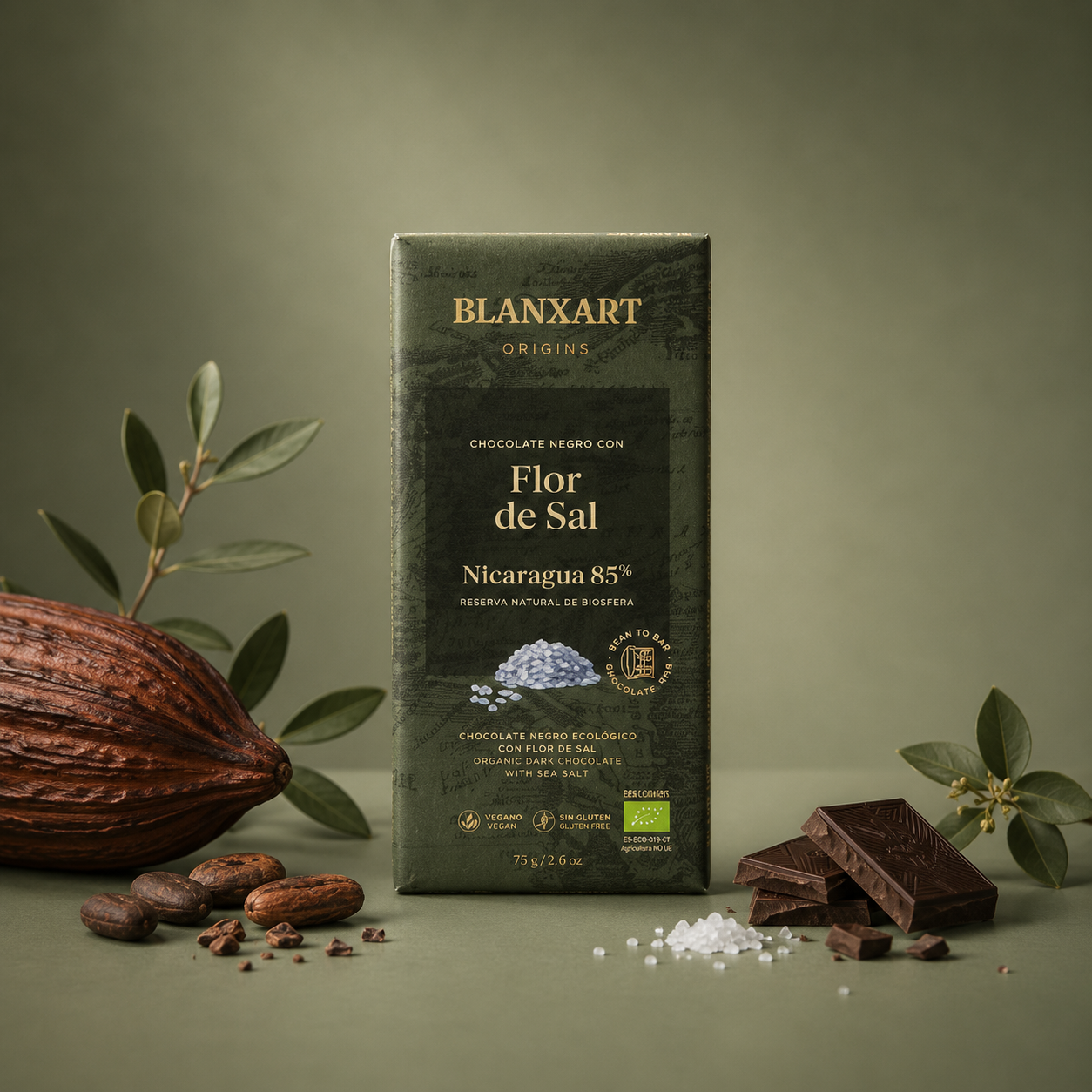 BLANXART | ORIGINS CHOCOLATE FLOR DE SAL NICARAGUA 85% 75gr