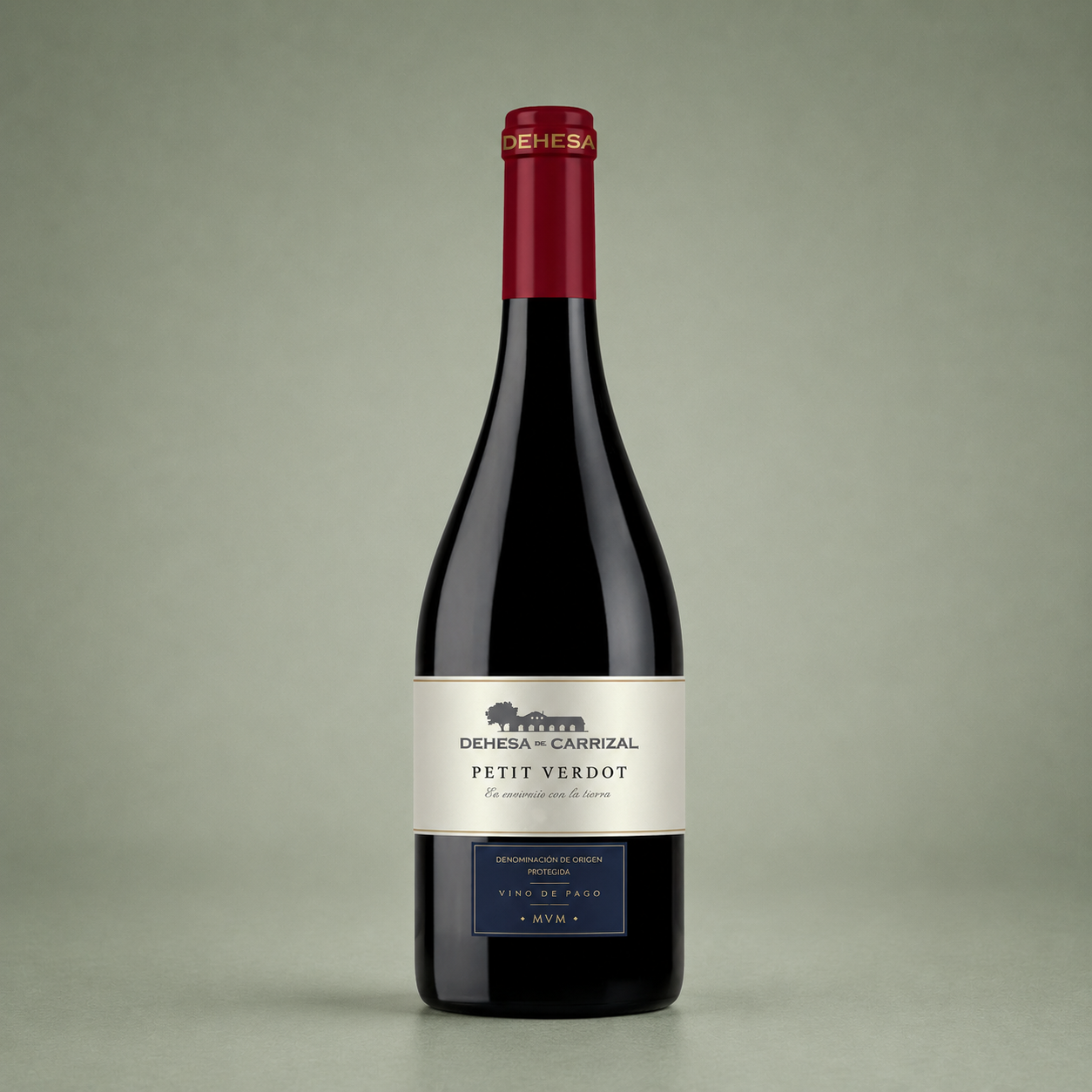 DEHESA DE CARRIZAL | PETIT VERDOT 2022 75cl