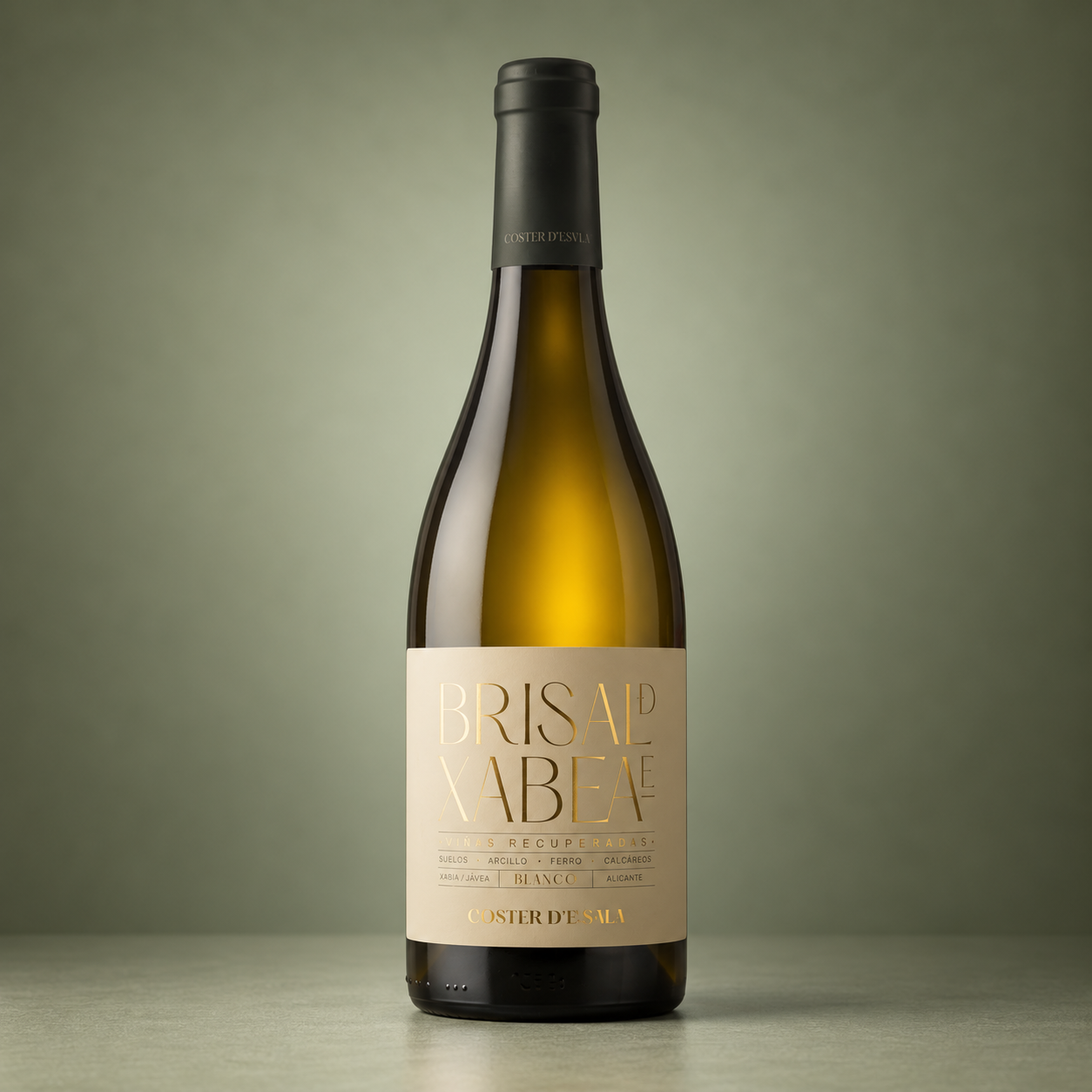 COSTER D´EN SALA | BRISAL DE XABEAE 2025 75cl