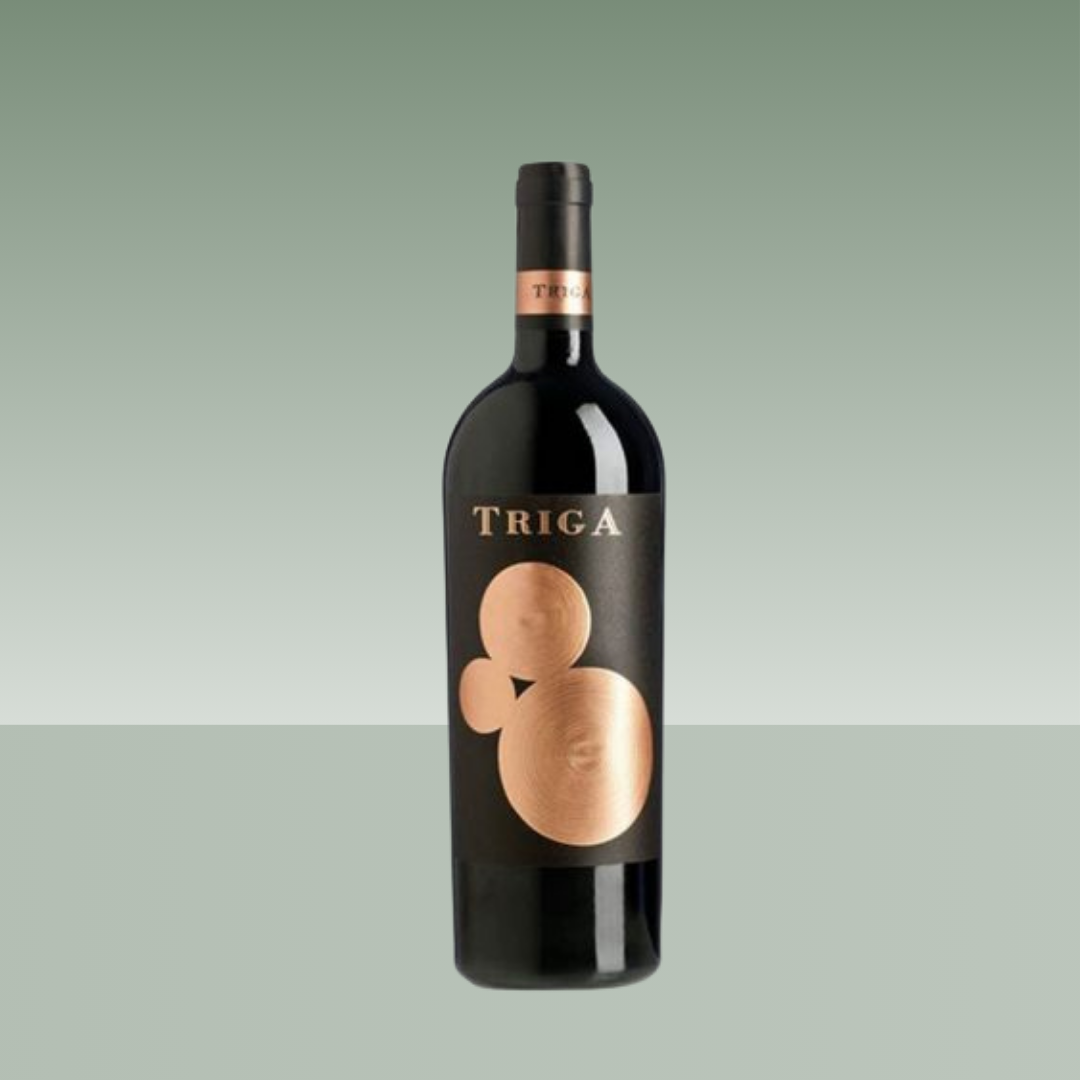 RAFA CAÑIZARES | TRIGA 2021 75cl