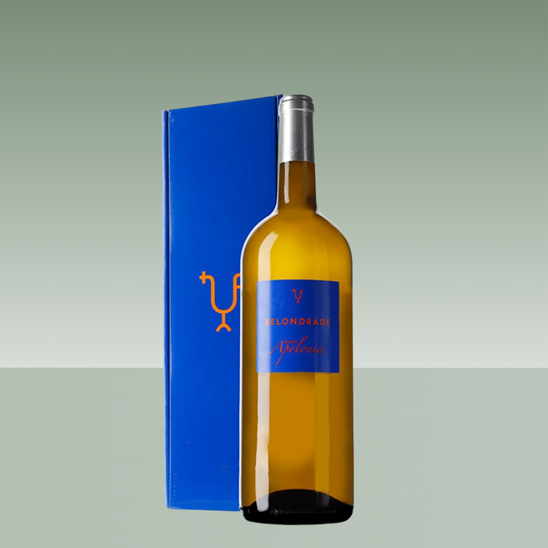 BELONDRADE | QUINTA APOLONIA 2023 MAGNUM