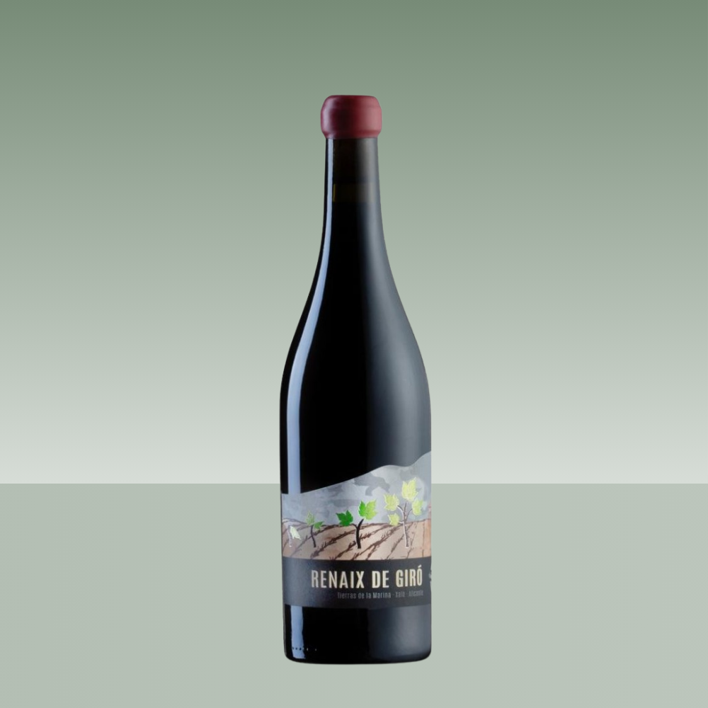 OSCAR MESTRE | RENAIX DE GIRÓ 2024 75cl