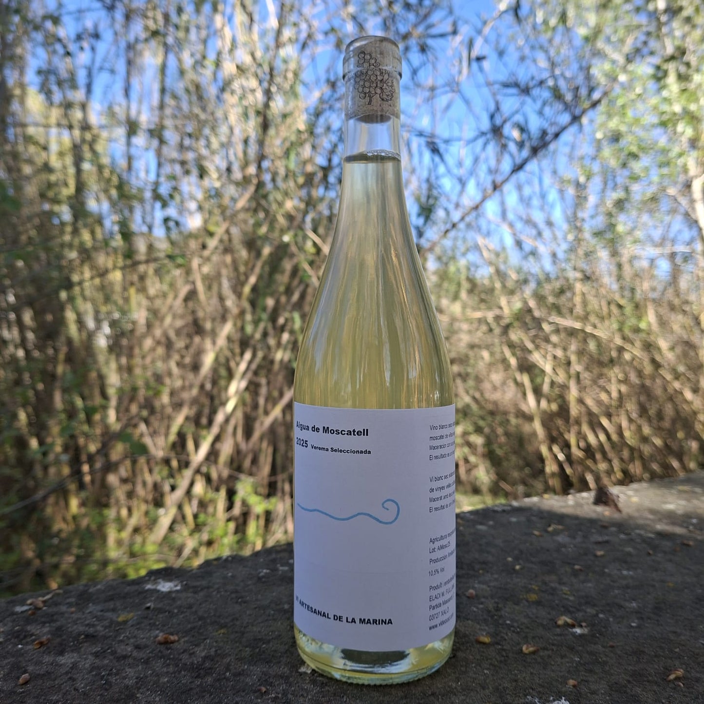 VIDEGUST | AIGUA DE MOSCATELL 2025 75cl