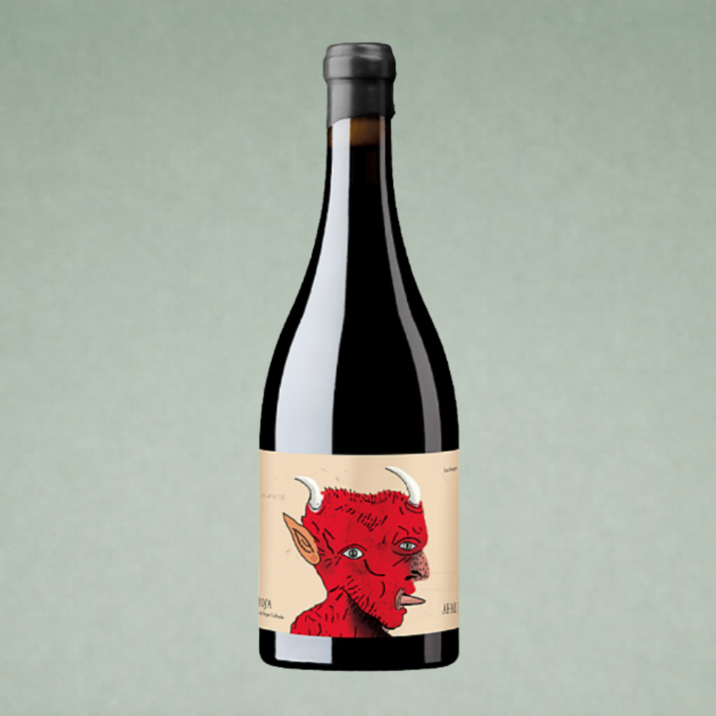Vino tinto Ahari 2022 Oxer Wines Rioja botella sobre fondo verde