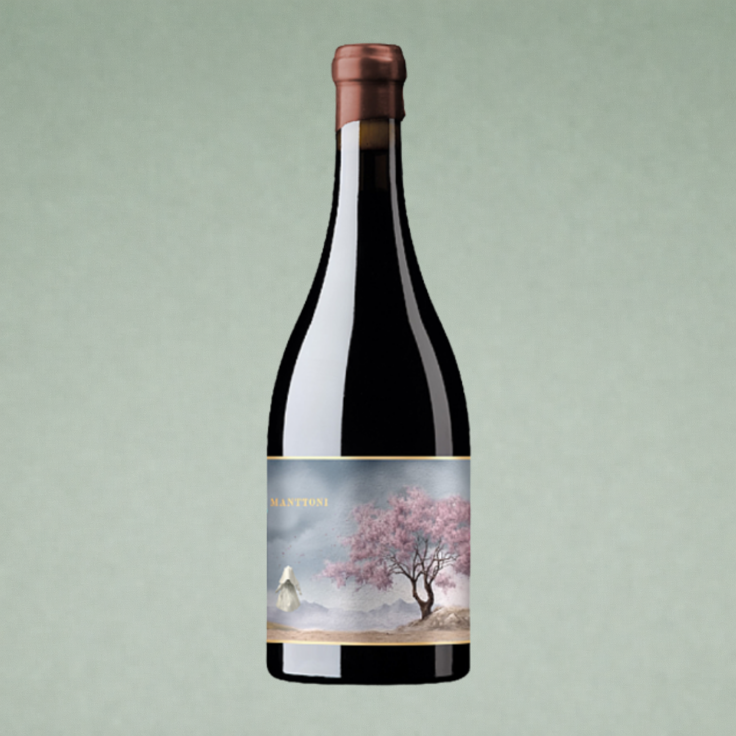 Vino tinto Mantonni 2023 Oxer Wines Rioja botella sobre fondo verde