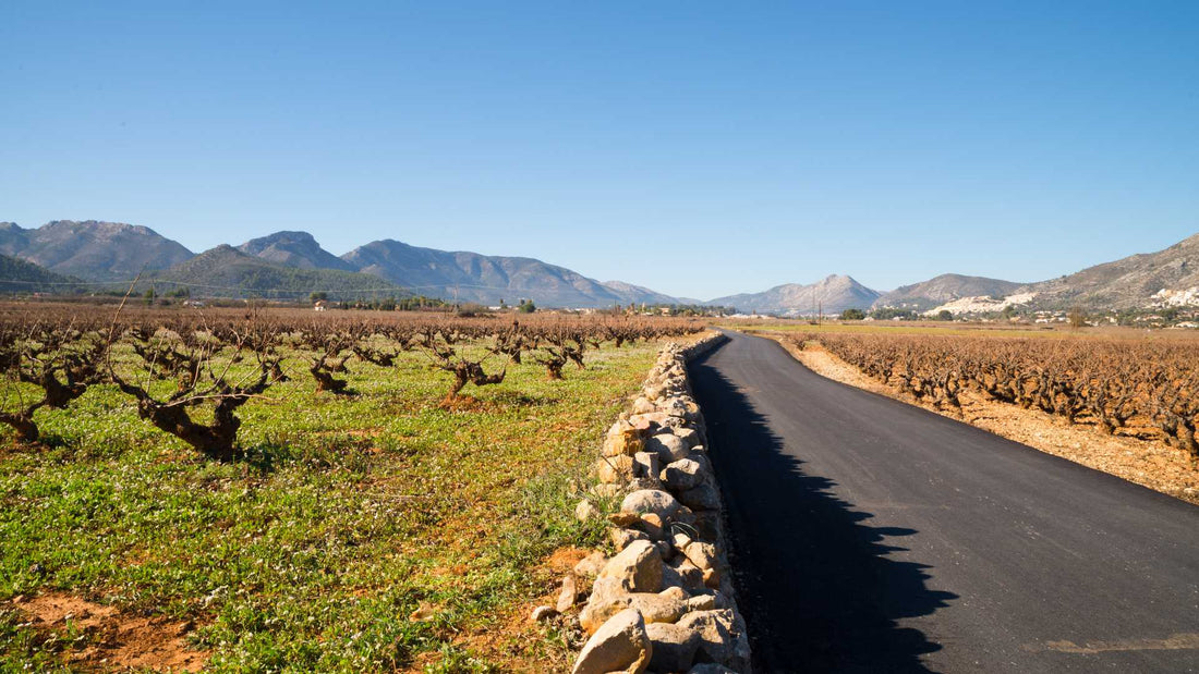 Vinos de Jalón: tradición y bodega en el corazón de Xaló
