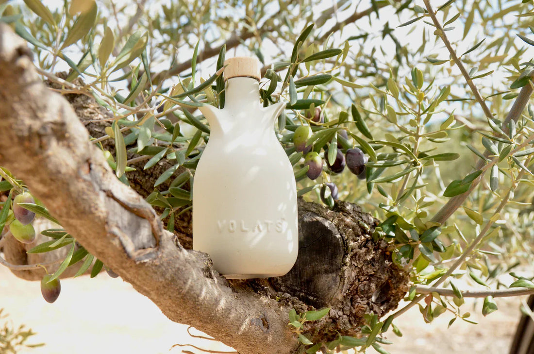 El oro líquido de la tierra: los aceites que nos emocionan en Bouquet Xaló