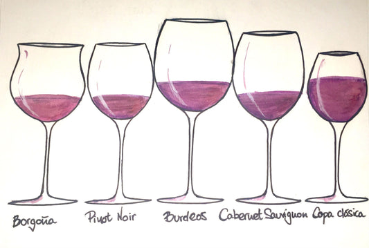 La importancia de la copa: cómo elegir la mejor para tu vino