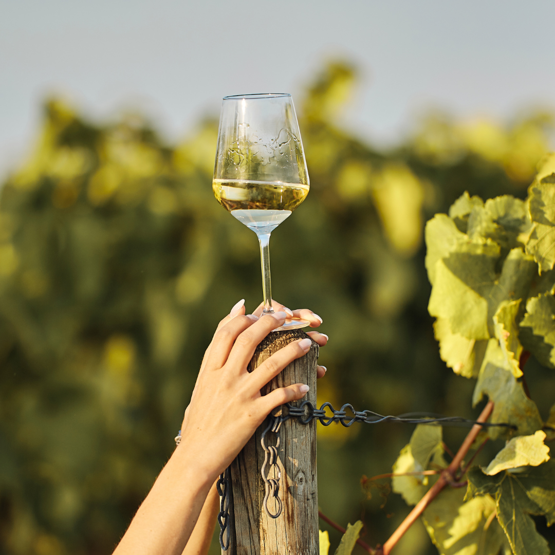 Bouquet Xaló: donde el vino tiene alma y el territorio, voz