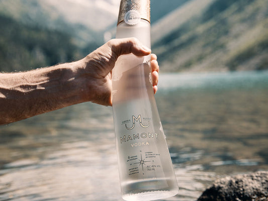 Vodka: historia, tipos y cómo se elabora – Bouquet Xaló