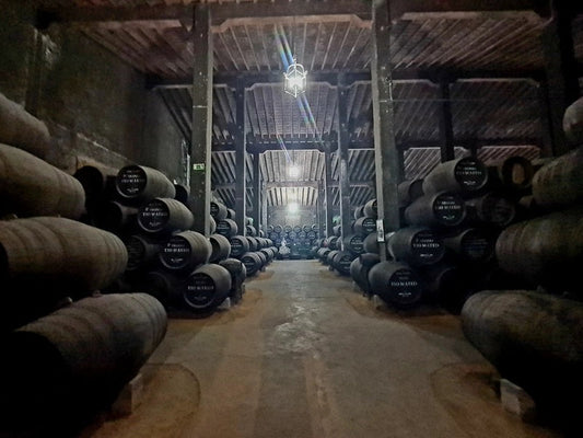 El auge del whisky español: nuevas destilerías y tendencias