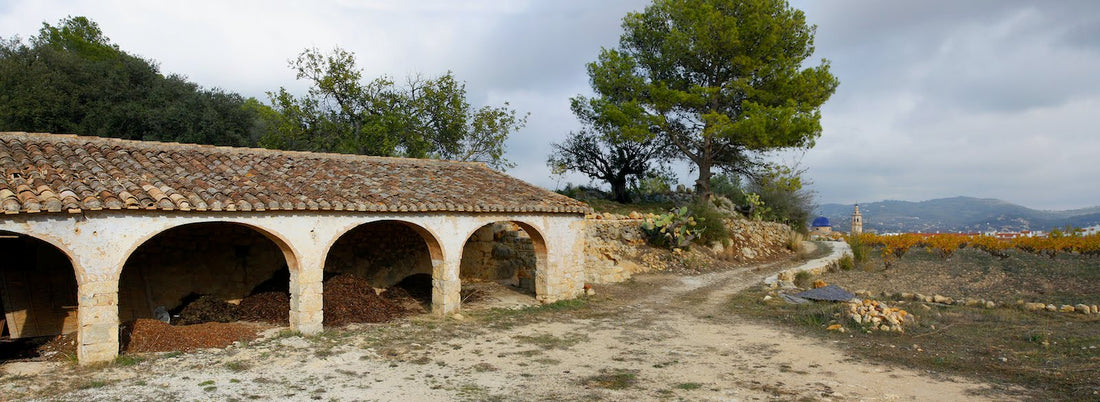 Ruta dels Riuraus en Xaló – excursión y vinos en Jalón