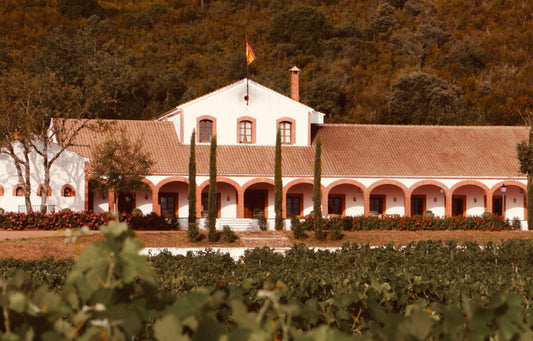 Dehesa del Carrizal: uno de los grandes Vinos de Pago de España