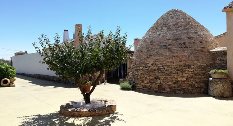 Bodega Las Calzadas | Vinos de tinaja Ribera del Júcar