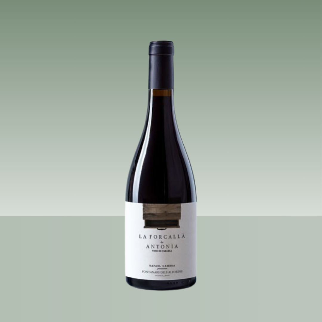 RAFAEL CAMBRA | LA FORCALLA DE ANTONIA 2023