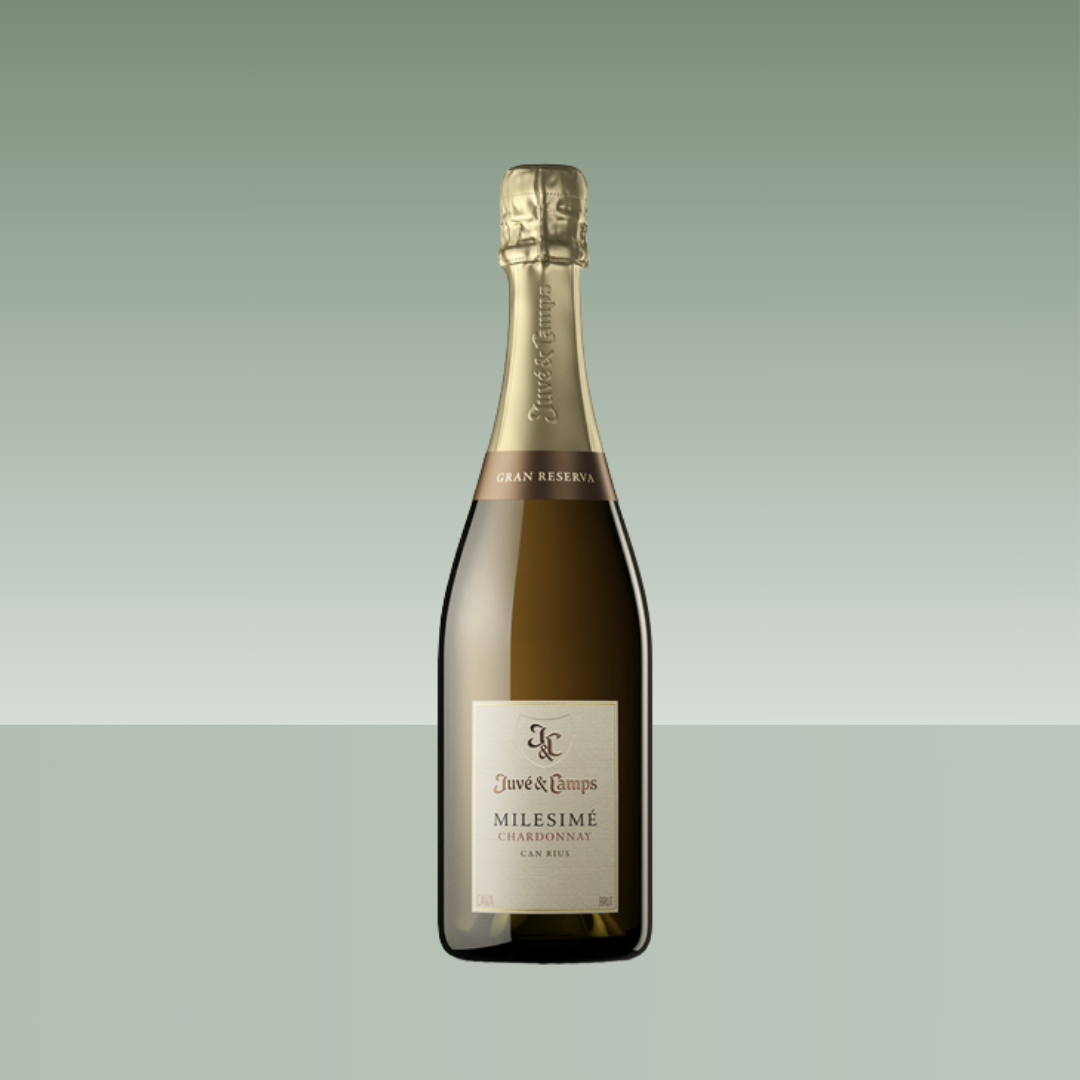 JUVE & CAMPS | MILESIMÉ CHARDONNAY CAN RIUS 2018 75cl