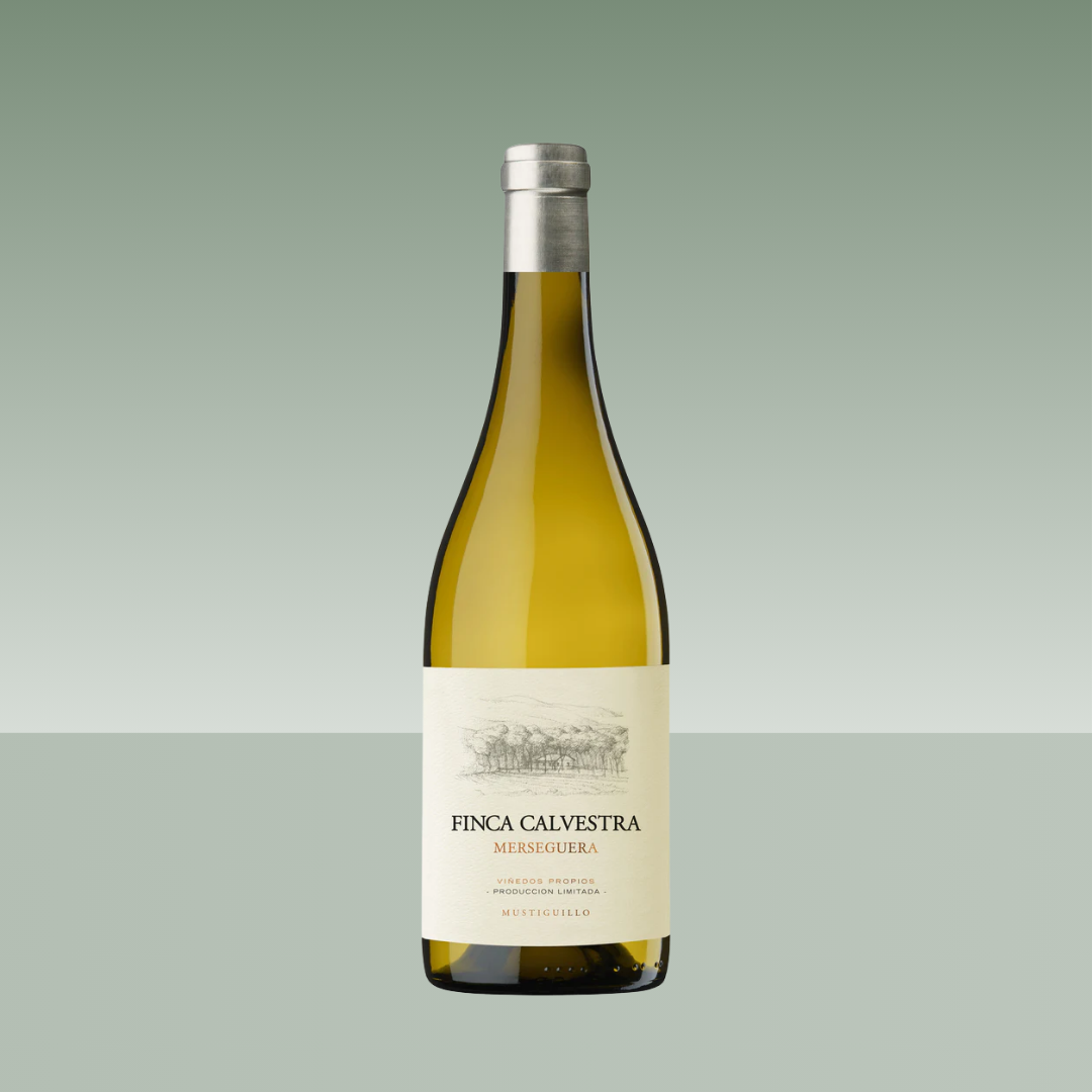 FINCA CALVESTRA MERSEGUERA 2021