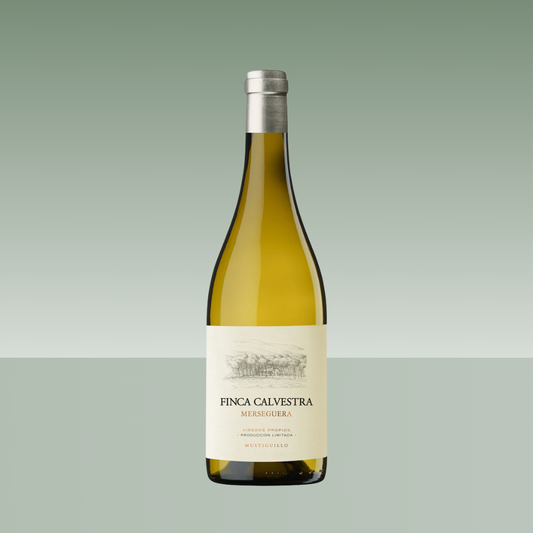 FINCA CALVESTRA MERSEGUERA 2021