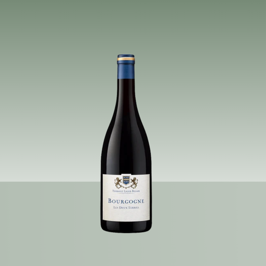 THIBAULT LIGER-BELAIR LES DEUX TERRES GAMAY 2021