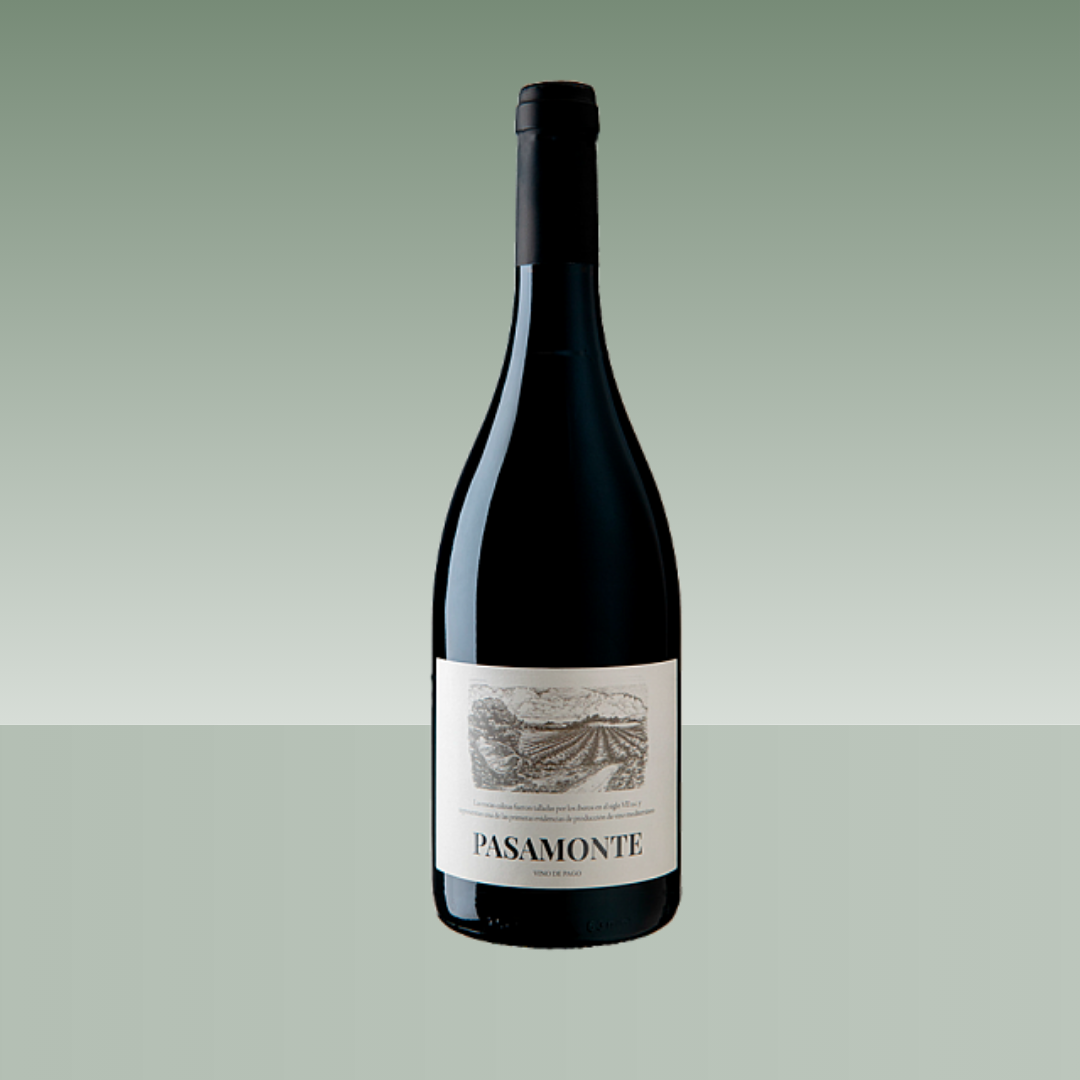 Botella de vino tinto Pasamonte, con botella oscura, cápsula negra y etiqueta minimalista con ilustración en tonos sepia, presentada sobre fondo neutro verde suave.