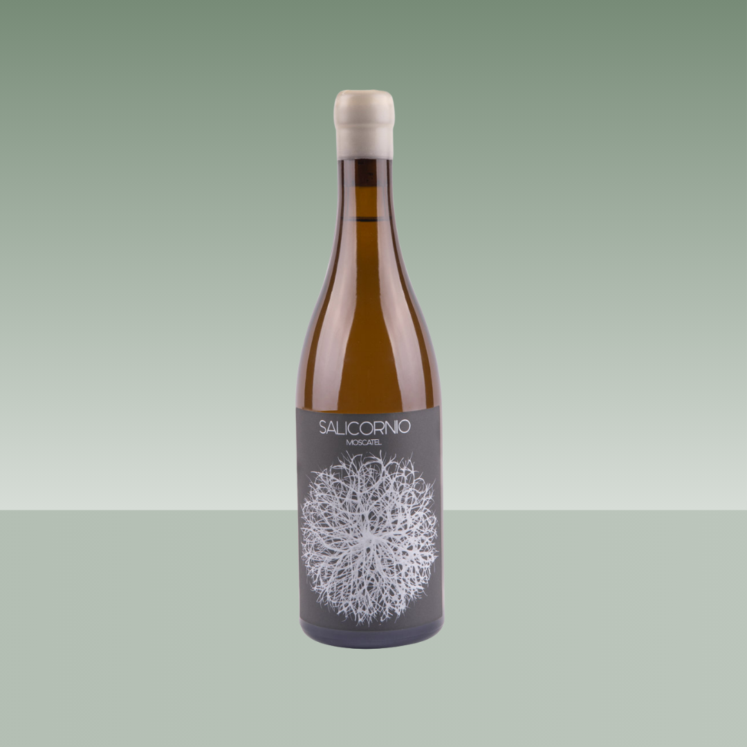 CASA BALAGUER | SALICORNIO MOSCATEL 2022 75cl