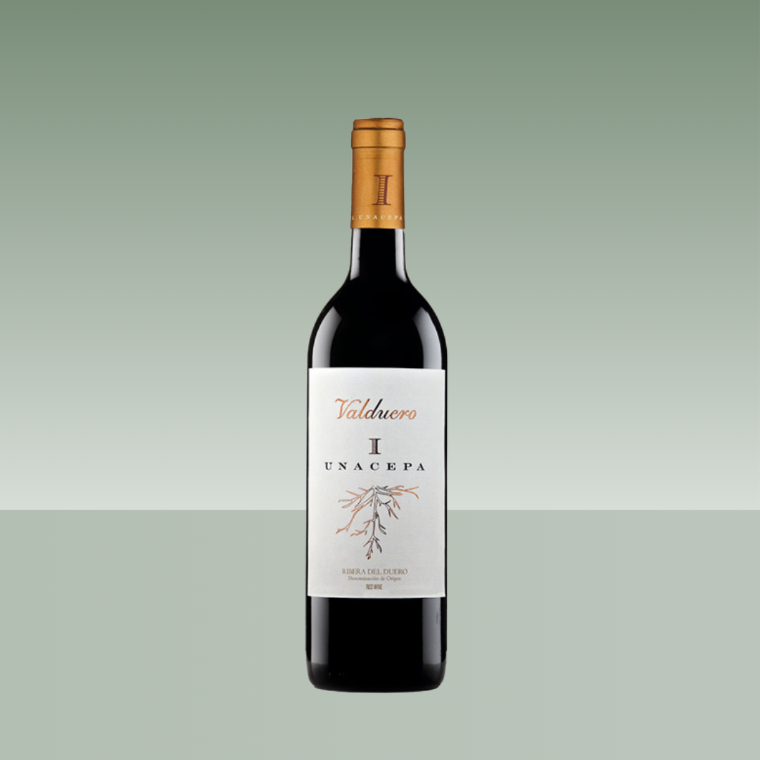 VALDUERO I UNACEPA 2018