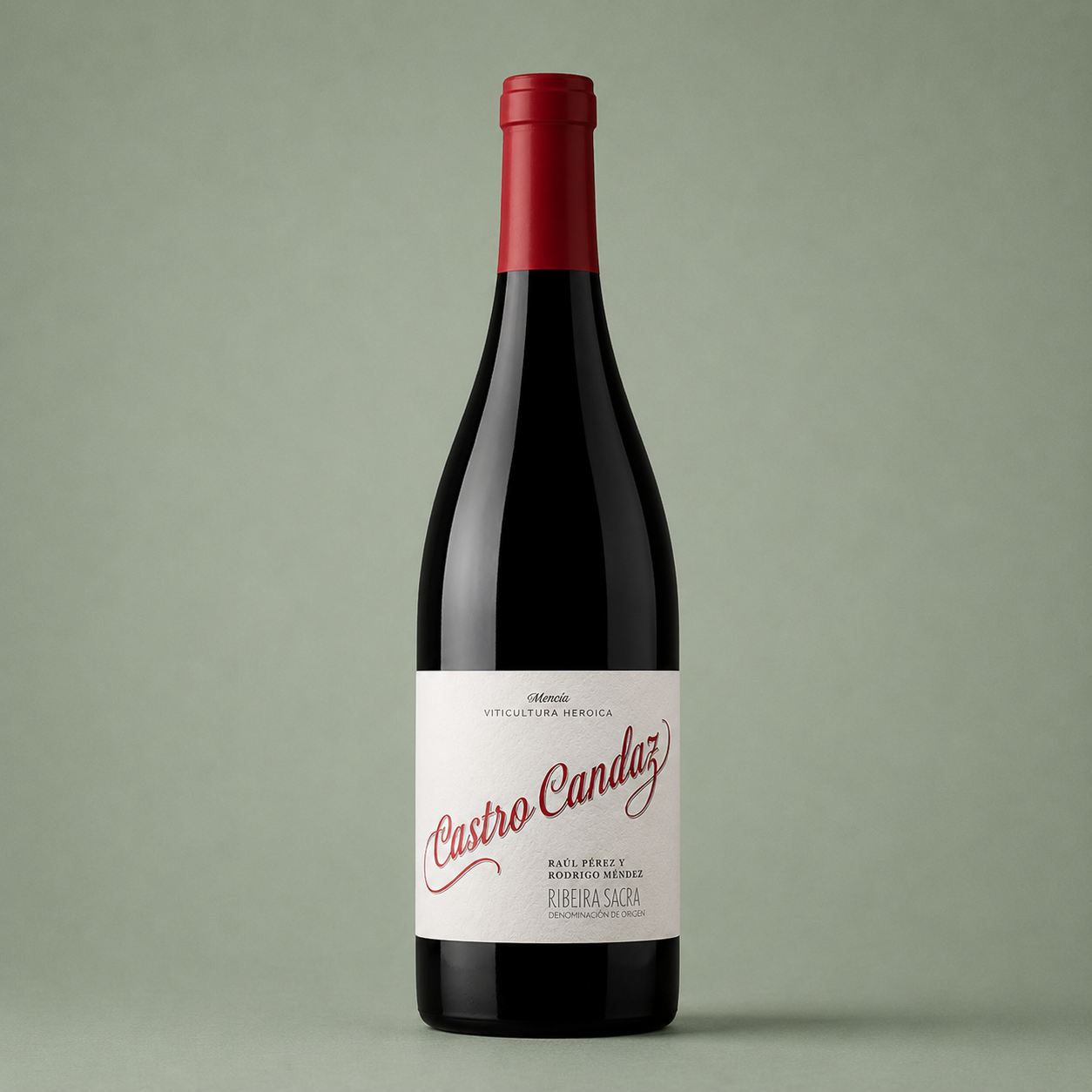 RAÚL PÉREZ | CASTRO CANDAZ 2021 75cl