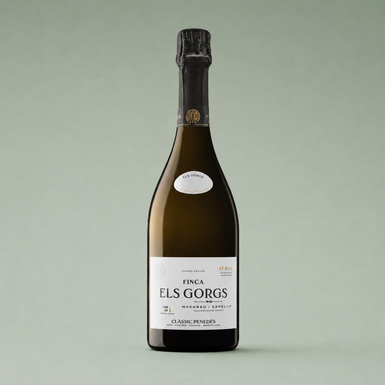 BIJ ROCA FINCA ELS GORGS 2013