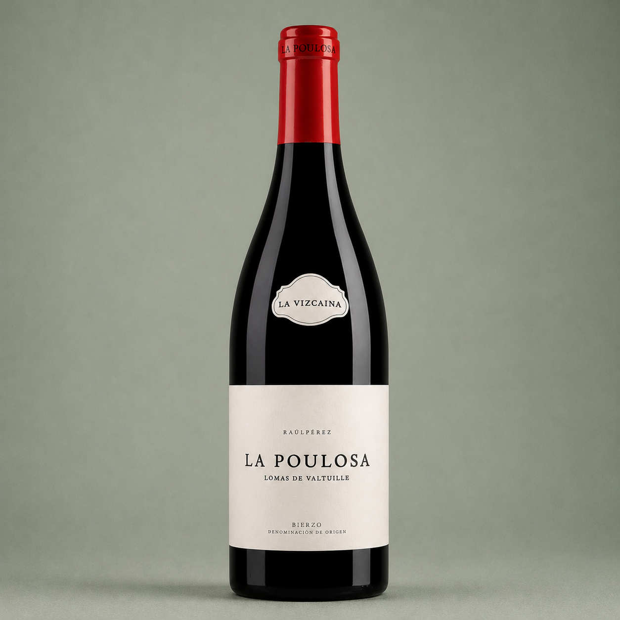 RAÚL PÉREZ | LA VIZCAÍNA LA POULOSA 2023 75cl
