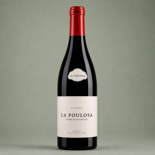 RAÚL PÉREZ | LA VIZCAÍNA LA POULOSA 2023 75cl