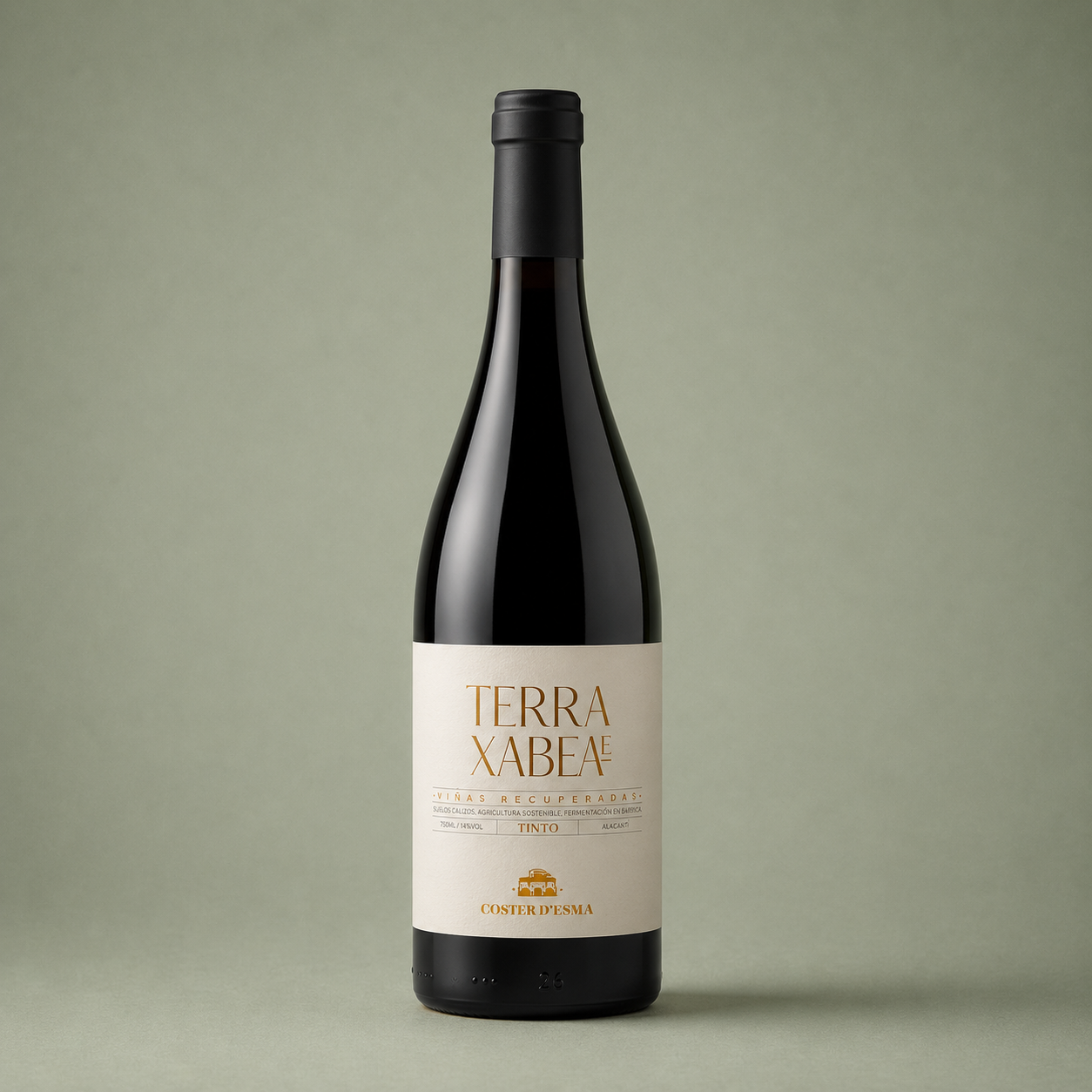 COSTER D´EN SALA | TERRA XABEAe TINTO 2024 75cl