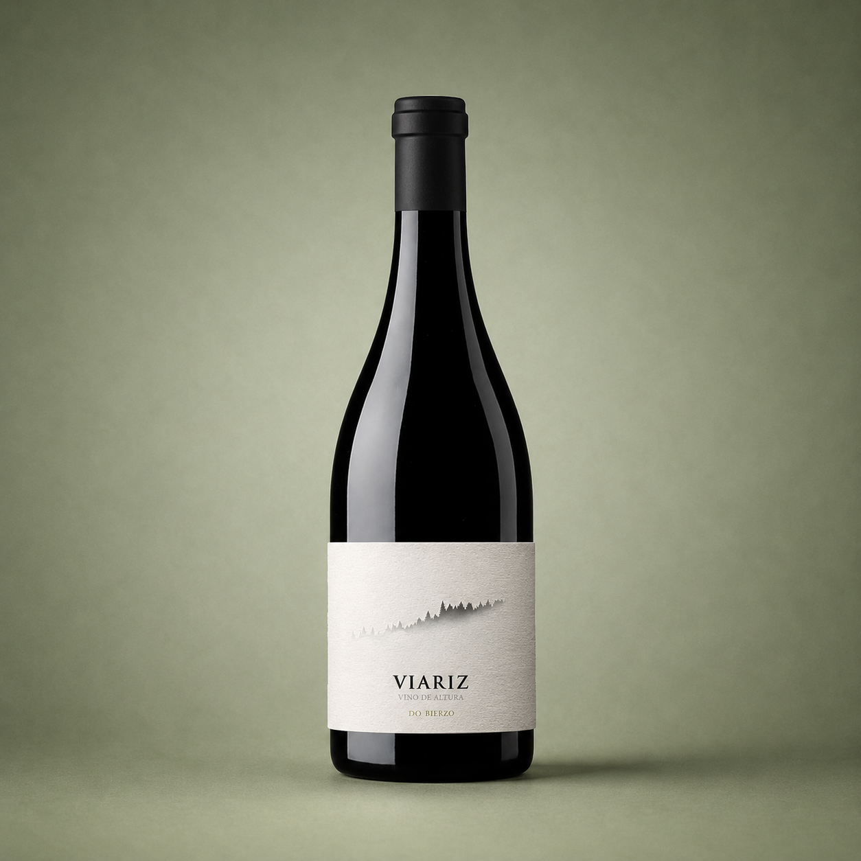 RAÚL PÉREZ | VIARIZ 2023 75cl
