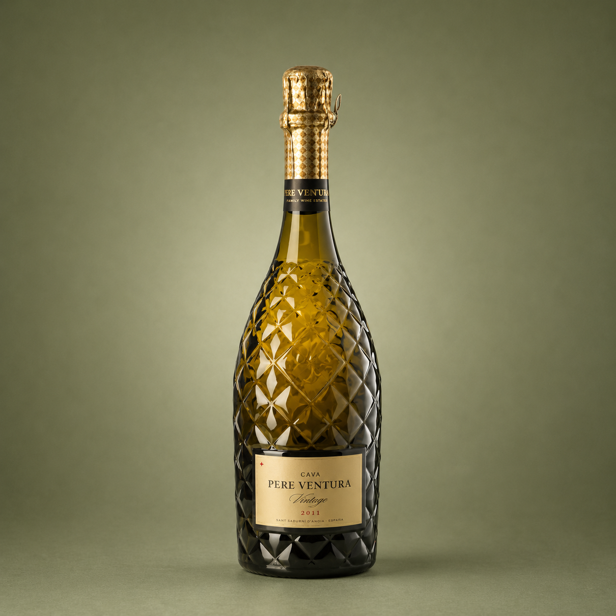 PERE VENTURA | VINTAGE BRUT 2017 75cl