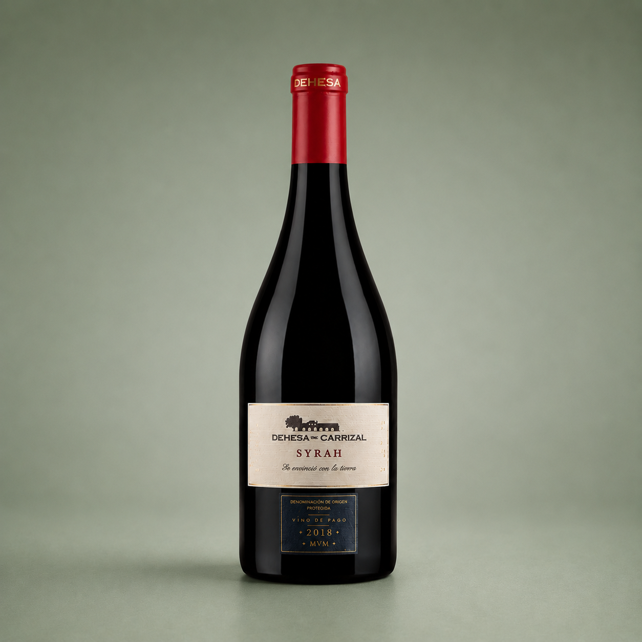 DEHESA DE CARRIZAL | SYRAH 2020 75cl
