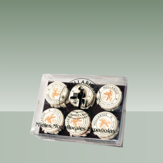 PACK MIEL MELLARIUS 240GR
