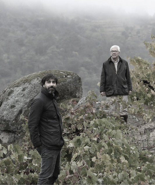 CATA 1/10/2025 - 18:30h | BODEGA VALDESIL